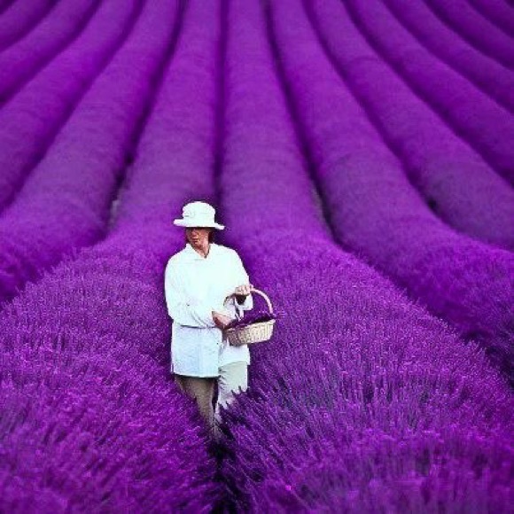 Meet your Poshers, Ginger & Pamela - Picture 5 of 9